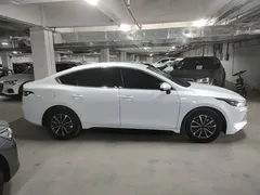 2023 BYD Destroyer 05 Champion DM-i PHEV 55km Luxury, белый — фото 26