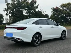 2022 Geely Emgrand L 1.4T CVT Ultimate, белый — фото 6