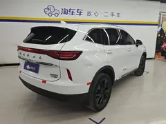 2021 Haval H6 3rd Gen 2.0T AT 2WD Max, белый — фото 3