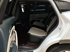 2024 BYD Song PLUS Honor DM-i PHEV 110km Flagship, белый — фото 11