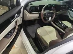 2024 BYD Qin PLUS Honor DM-i PHEV 55km Leading, белый — фото 16