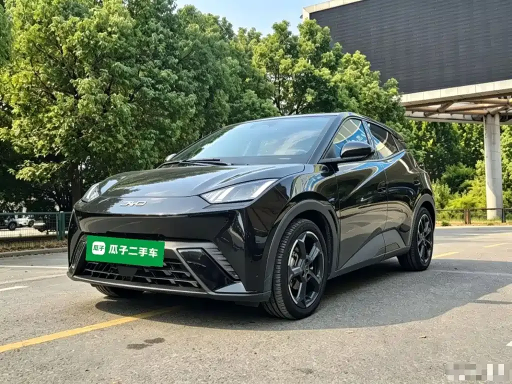 2023 BYD Seagull Flying