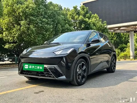 2023 BYD Seagull Flying