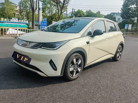2025 BYD Dolphin Smart Driving 410km Fashion