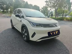 2025 BYD Dolphin Smart Driving 410km Fashion — фото 3