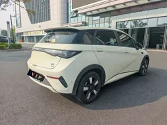 2025 BYD Dolphin Smart Driving 410km Fashion — фото 4