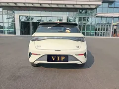 2025 BYD Dolphin Smart Driving 410km Fashion — фото 5