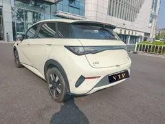 2025 BYD Dolphin Smart Driving 410km Fashion — фото 6