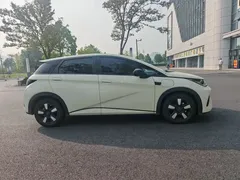 2025 BYD Dolphin Smart Driving 410km Fashion — фото 12