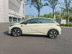 2025 BYD Dolphin Smart Driving 410km Fashion — фото 13