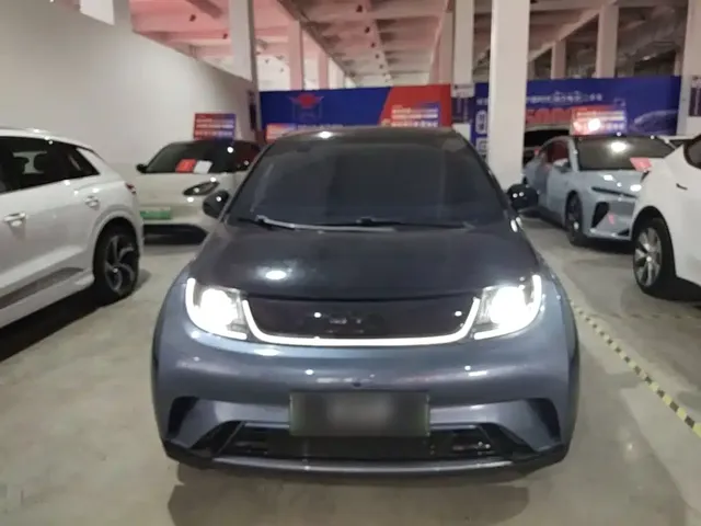 2024 BYD Dolphin Honor 420km Fashion