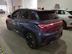 2024 BYD Dolphin Honor 420km Fashion, синий — фото 23
