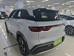 2024 BYD Yuan UP 401km Leading — фото 5