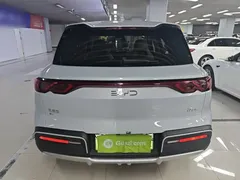 2024 BYD Yuan UP 401km Leading — фото 6
