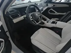 2024 BYD Yuan UP 401km Leading — фото 15