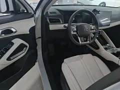 2024 BYD Yuan UP 401km Leading — фото 16