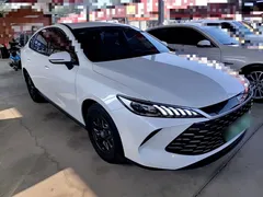 2025 BYD Qin PLUS DM-i PHEV Smart Driving 55km Leading, белый — фото 4