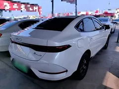 2025 BYD Qin PLUS DM-i PHEV Smart Driving 55km Leading, белый — фото 7
