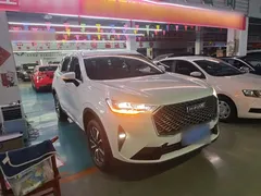 2021 Haval H6 3rd Gen 1.5T AT 2WD Pro, белый — фото 22