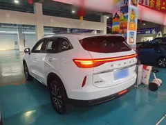 2021 Haval H6 3rd Gen 1.5T AT 2WD Pro, белый — фото 23