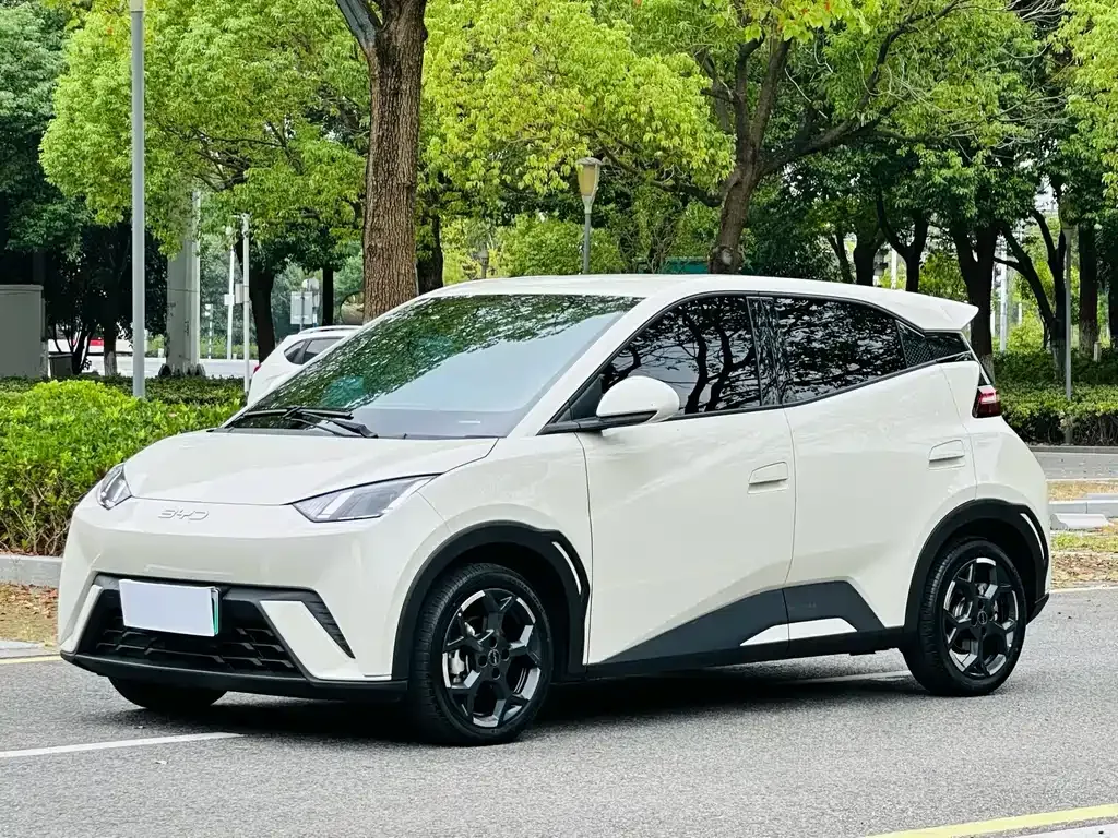 2024 BYD Seagull EV 305km Honor Freedom