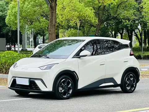 2024 BYD Seagull EV 305km Honor Freedom