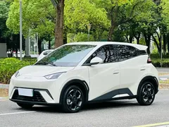 2024 BYD Seagull EV 305km Honor Freedom — фото 1