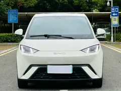 2024 BYD Seagull EV 305km Honor Freedom — фото 2