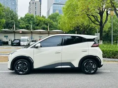2024 BYD Seagull EV 305km Honor Freedom — фото 3