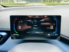 2024 BYD Seagull EV 305km Honor Freedom — фото 6