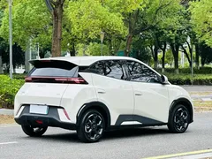 2024 BYD Seagull EV 305km Honor Freedom — фото 7