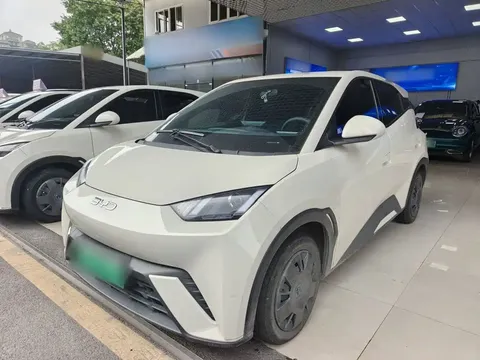 2024 BYD Seagull Honor 305km Vitality