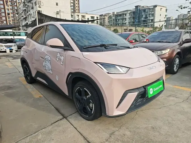 2024 BYD Seagull EV 305km Honor Freedom