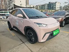 2024 BYD Seagull EV 305km Honor Freedom, чёрный — фото 4