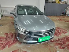 2024 BYD Destroyer 05 DM-i PHEV 55km Luxury — фото 3