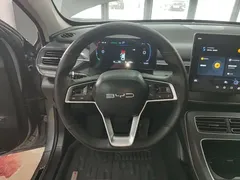 2024 BYD Destroyer 05 DM-i PHEV 55km Luxury — фото 11
