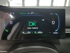 2024 BYD Destroyer 05 DM-i PHEV 55km Luxury — фото 12