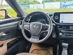 2022 Lexus ES 300h Excellence — фото 11