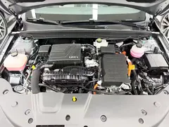 2024 BYD Qin PLUS Honor DM-i PHEV 55km Leading — фото 23