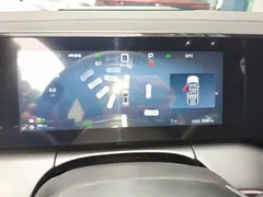 2025 BYD Song L PHEV 160km Smart Driving Exceed, синий — фото 12