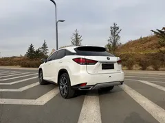2020 Lexus RX 300 4WD Elegance, белый — фото 4