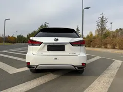 2020 Lexus RX 300 4WD Elegance, белый — фото 5
