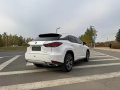 2020 Lexus RX 300 4WD Elegance, белый — фото 6