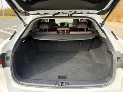 2020 Lexus RX 300 4WD Elegance, белый — фото 16