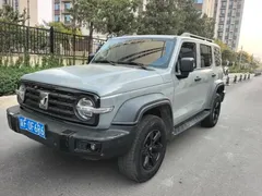 2021 Tank 300 Off-road 2.0T Conqueror — фото 1