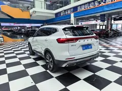 2023 Haval H6 1.5T AT Guochao Champion, белый — фото 7