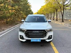 2021 Haval H6 1.5T AT Guochao Urban, белый — фото 2