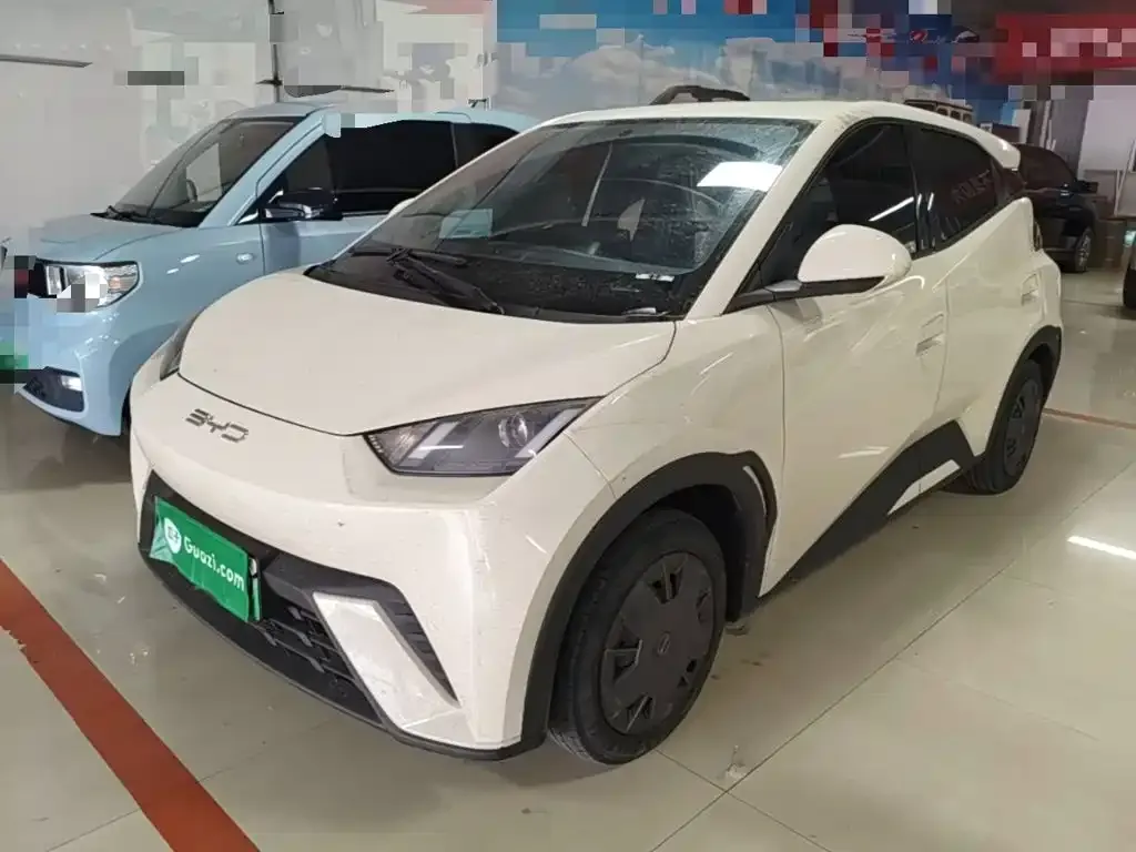 2023 BYD Seagull Vitality