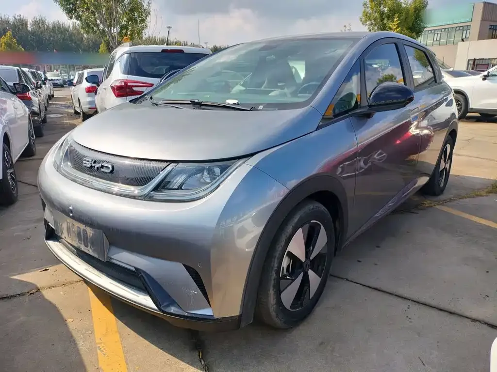 2023 BYD Dolphin 420km Fashion