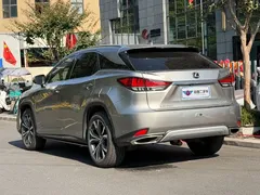 2020 Lexus RX 300 4WD Elegant — фото 4